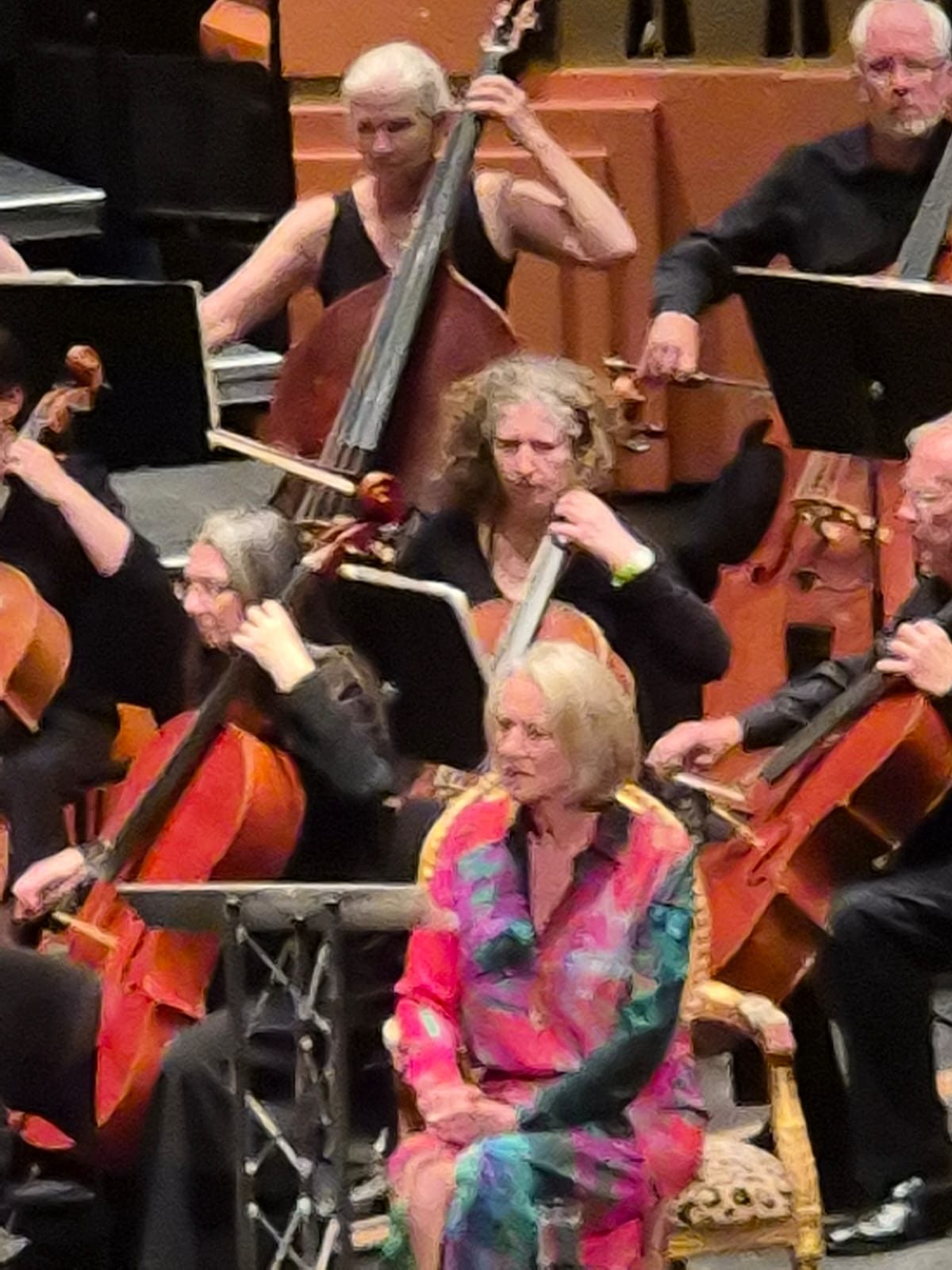Sussex Symphony orchestra