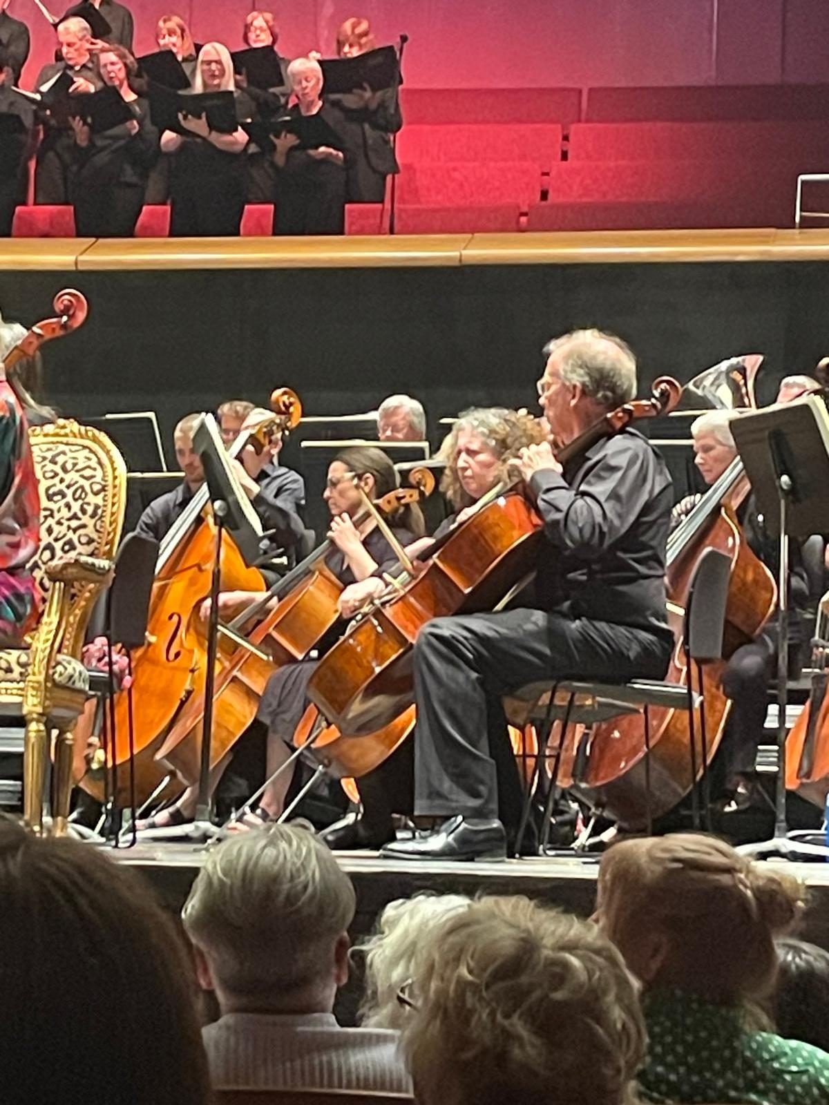 Sussex Symphony Orchestra (SSO)